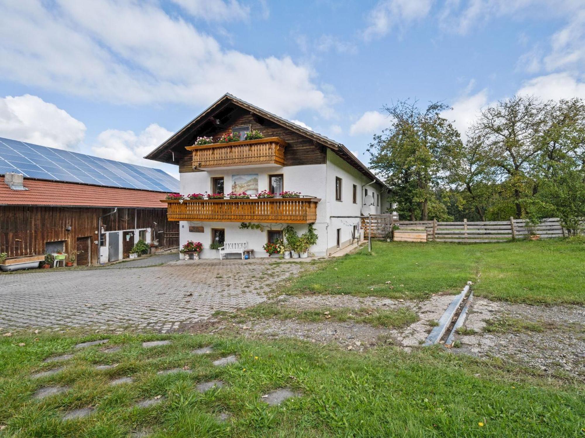 Flat On A Farm Near The Arber Ski Area Нойкирхен-байм-Хайлиген-Блут Экстерьер фото